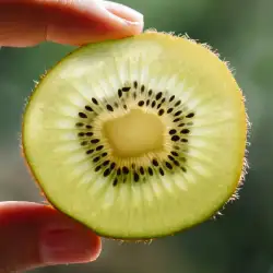 una persona sostiene un kiwi, una fruta rica en antoxidantes y vitamina c
