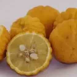 El dragonfly es una fruta muy curiosa de tacto atercipelado pero similar a una naranja