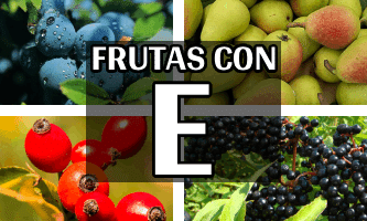 visita esta página y descubre un mundo de colores y sabores con estas frutas con e