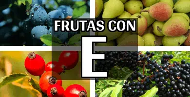 visita esta página y descubre un mundo de colores y sabores con estas frutas con e