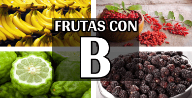 listado completo de frutas con b