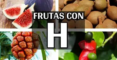 frutas con h