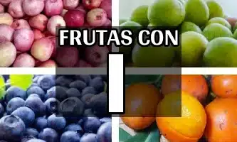 el icaco, el imbú, el imbe o el ibo son algunas de las frutas con i que existen