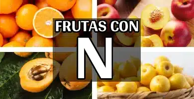 frutas con n