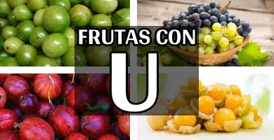listado completo de frutas con U con curiosidades y propiedades
