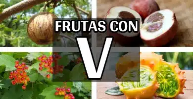 listado de frutas con v con descripciones