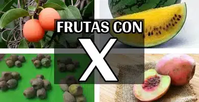listado completo de frutas con x
