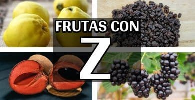 listado completo de frutas con z