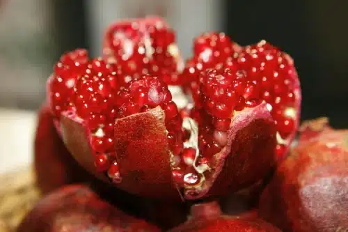 un pomegranate tambien conocido como granada