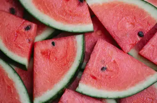 watermelon rodajas de sandia
