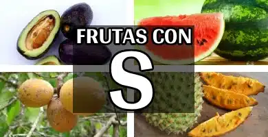 listado completo y curiosidades sobre las frutas con s