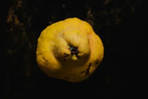 una zamboa o menbrillo sobre un fondo negro