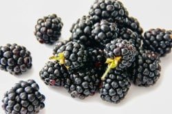 zarzamora llena de frutos