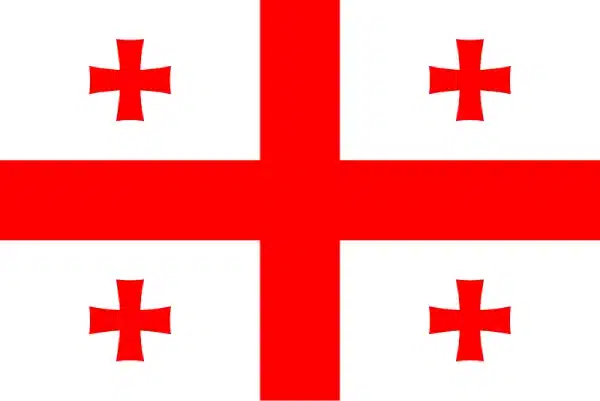 bandera georgia