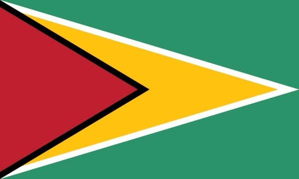 bandera guyana
