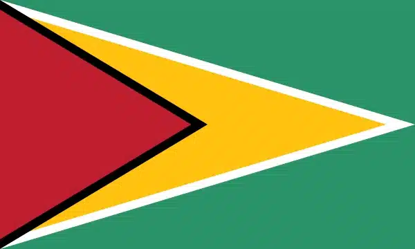 bandera guyana
