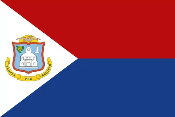 bandera san martin